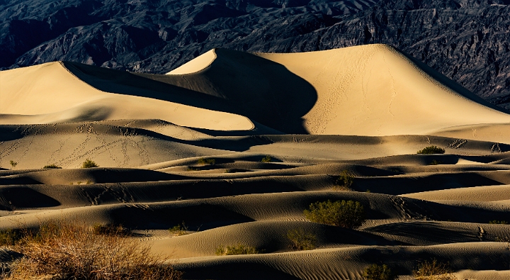 Mesquite Dunes 16-6685a.jpg